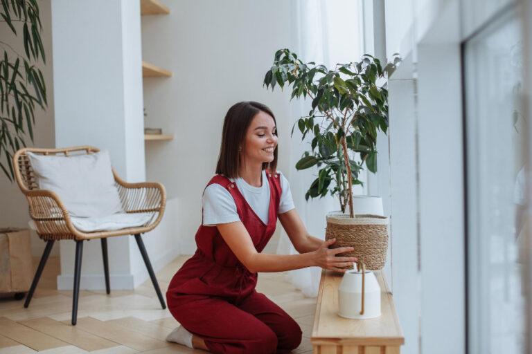 5 Dicas Imperdíveis de Como Economizar em Decoração para a Casa